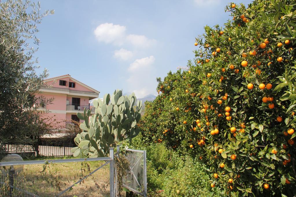 Gli Aranci Dell'Etna Villa Mascali Dış mekan fotoğraf